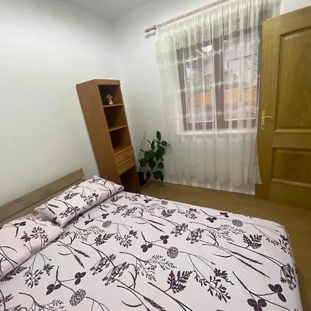Апартаменты Apartmaji Tatjana Grgar